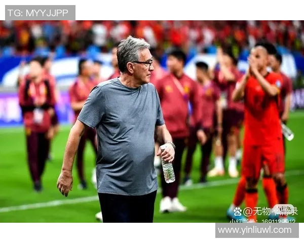 2010年世界杯预选赛附加赛葡萄牙与瑞典的生死较量与精彩瞬间回顾